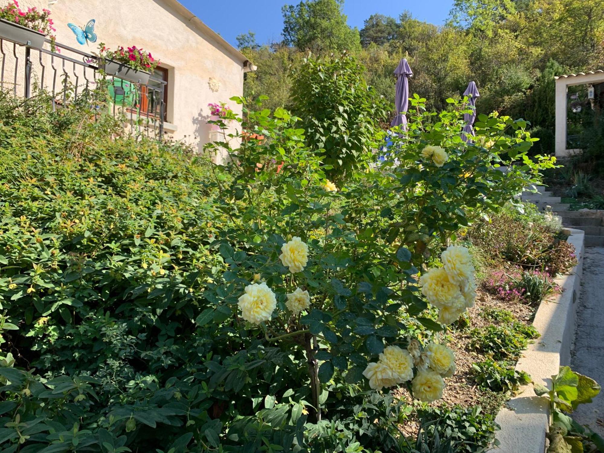 Maison Castellane Chambre D'Hotes B&B Εξωτερικό φωτογραφία