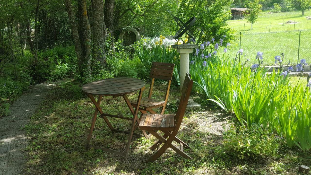 Maison Castellane Chambre D'Hotes B&B Εξωτερικό φωτογραφία